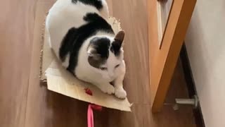 さよならおくたカー