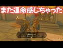 ゼルダの伝説　ティアーズ オブ ザ キングダム　実況プレイPart359