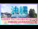 34歳になった今も叶わない夢。2000年代ギャルゲー聖地！沖縄 ニライカナイの旅 #8(終)