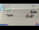 第39回東京プリンセス賞 ベルグラシアス