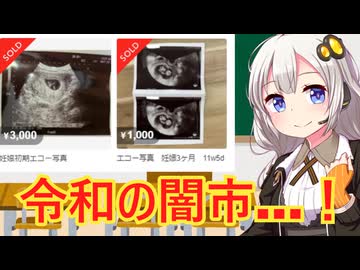 メルカリの愉快な仲間たち　解説