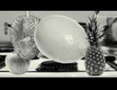 Pocochin（ポコチン）/ 重音テトSV