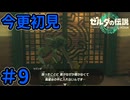 サハスーラ平原 鳥望台【ゼルダの伝説 ティアーズ オブ ザ キングダム】Part9