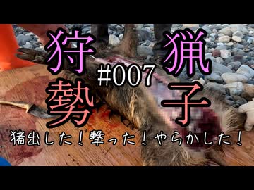 狩猟勢子動画＃007 猪出した！撃った！やらかした！(結月ゆかり＆中国うさぎ解説)