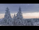 かすかに光る Be Faintly Bright 【フリーBGM】