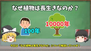 【ゆっくり解説】なぜ植物は長生きなのかー万脳細胞と無限再生の仕組みー