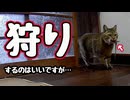 逃がさないで…【狩り】【野良猫】