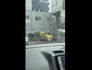 可愛すぎる車　キッチンカー　移動販売車　くまさん　ワーゲンバス　スズキワゴンr 露天　路上販売　動物　森のくまさん　猫ちゃん　茶色　クロワッサン　高級　名古屋の街並み　愛知　ＶＬＯＧ　日常　裏側