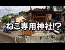 ねこ専用神社！？