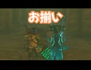ゼルダの伝説　ティアーズ オブ ザ キングダム　実況プレイPart360