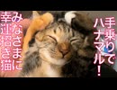 幸運招き猫、ハナマルポーズで皆様に福を呼ぶ