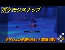 ポケモンスナップ　クマシュンを撮りたい！雪原（夜）調査レベルMAX　＃１１１　【New ポケモンスナップ】