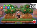 【実況】あつまれどうぶつの森を遊ぶいも【#36】