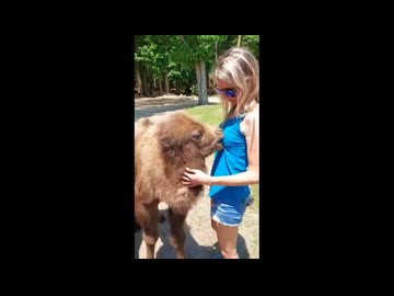 世界の衝撃的映像集Part192