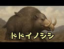 ラジオ・ドラヴィルダ　「ドドイノシシ」