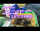 ちょっとそこまで釣～りんぐ「東京湾のエビマゴチ」【結月ゆかり】