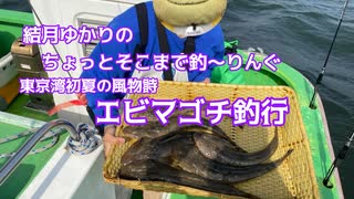 ちょっとそこまで釣～りんぐ「東京湾のエビマゴチ」【結月ゆかり】