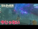 【ゼルダの伝説BotW】初めてのブレワイ！折れない心で未知の世界へ！#57【実況】