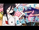 【SF6】中国うさぎと柔道モデル