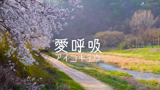 【オリジナル曲】愛呼吸 / Tomokatsu【MV】