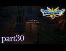ロトの伝説、ここに始まる。【ドラゴンクエストⅢ実況part30】