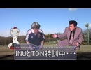 野球選手を目指すINU
