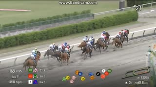 2025 わらび賞 (3歳1勝クラス)　バギーウィップ