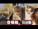 登場猫 BGM集