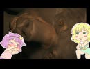 【ゆっくり実況】【The Long Dark】地底のおねーちゃんはクマを滅ぼすことを決めました