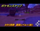 ポケモンスナップ　カラリ荒野　調査レベル１（夜）　＃１３３　【New ポケモンスナップ】