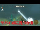 #177【ゼルダの伝説 ティアーズ オブ ザ キングダム】なんかとんでもないのに見つかっちまった！