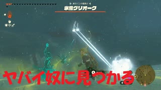 #177【ゼルダの伝説 ティアーズ オブ ザ キングダム】なんかとんでもないのに見つかっちまった！