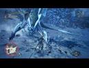 【MHW:IceBorne】#142