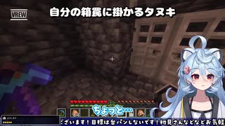 【ぶいぱい】自分の箱罠に掛かるタヌキ【綿貫ねぐせ】
