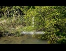 コリズニ（Rearrange version）／ MUGA feat. GUMI