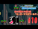 世界名作劇場、けろっこデメタン、みなしごハッチ、ど根性ガエル、あばれはっちゃくなど昔のキッズステーションを語りながら/実の父親との思い出！約20年ぶりの「スーパーマリオワールド」#10