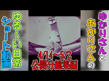 【VOICEROID劇場】ゆかりさんの日常　ショート動画4/14～5/2公開分総集編