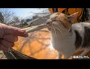 おやつまーだ？