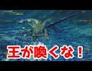 王が喚くな！【モンスターハンターワイルズ】＃41