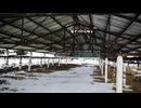 Woodford Barn Repair