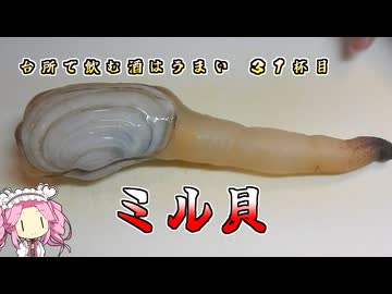 台所で飲む酒はうまい　31杯目　ミル貝