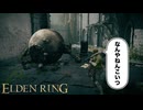 ストームヴィル城を攻略中にグロ過ぎる壺に遭遇する男w w w w＃１０【ELDEN RING】