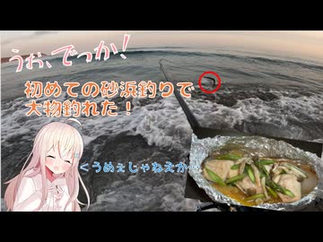 人生初のサーフ釣りでデカいのが釣れました