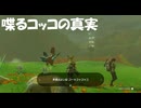 #179【ゼルダの伝説 ティアーズ オブ ザ キングダム】喋るコッコの試練を攻略するゾ！