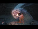 sc^イカれた生放送(SEKIRO)　６－２