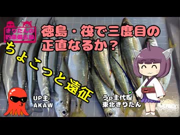 きりたんの釣果備忘録 　3度目の筏釣りで鯵とサヨリ
