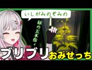【 Schedule I】ハッパ売り屋さんにドハマる（11時間半）石神【にじさんじ切り抜き／石神のぞみ】