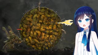 青春マグノリア その１３【ENDER MAGNOLIA・ソフトウェアトーク実況】