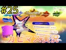 【星のカービィディスカバリー part２５】攻略！トレジャーロード！【実況プレイ】