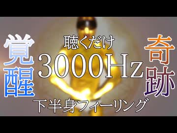 【3000Hz】聴くだけで下半身強化,金運UP,前立腺を活性化させる奇跡の音楽 覚醒の周波数3000Hz 毎日931分聞き流すだけで人生が変わる